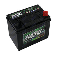 12N24-3 Power Crank Lawn Mower Battery Maintenance Free