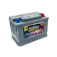 56638S Neuton Power Silver Series European Car Battery Maintenance Free