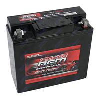 NPC-Y51913 Power AGM Motorcycle Battery Maintenance Free