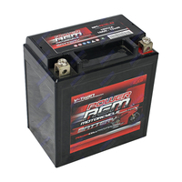 NPC-YB10L-A2 Power AGM Motorcycle Battery Maintenance Free