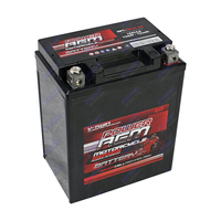 NPC-YB14L-A2 Power AGM Motorcycle Battery Maintenance Free