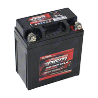 NPC-YB3L-B Power AGM Motorcycle Battery Maintenance Free