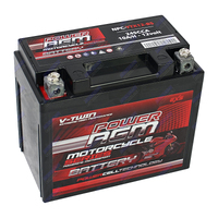 NPC-YTX12-BS Power AGM Motorcycle Battery Maintenance Free