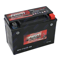 NPC-YTX15L-BS Power AGM Motorcycle Battery Maintenance Free