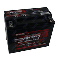 NPC-YTX20L-BS Power AGM Motorcycle Battery Maintenance Free