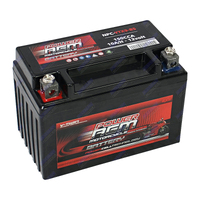 NPC-YTX9-BS Power AGM Motorcycle Battery Maintenance Free