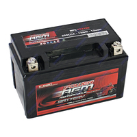 NPC-YTZ10S Power AGM Motorcycle Battery Maintenance Free