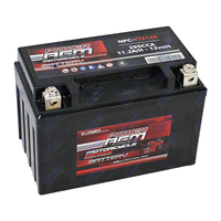 NPC-YTZ14S Power AGM Motorcycle Battery Maintenance Free